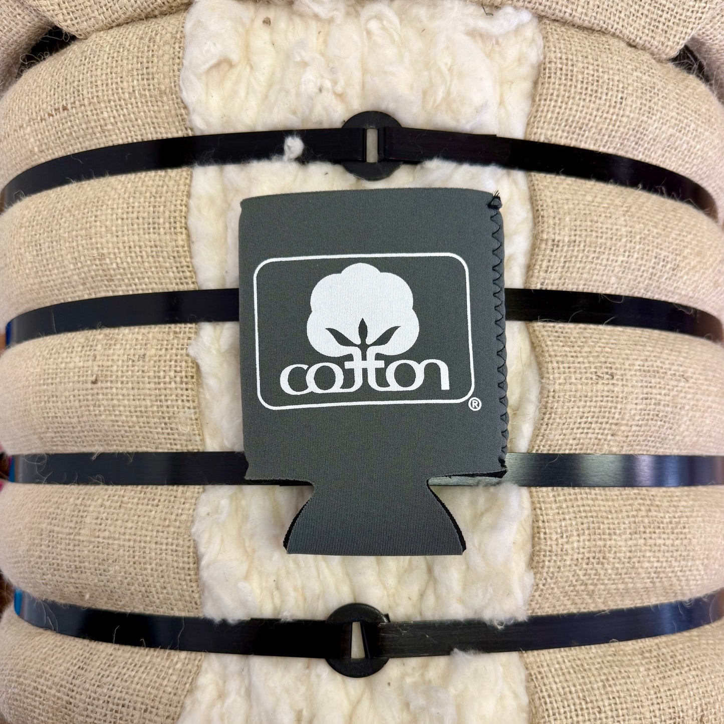 Seal of Cotton Regular Can Koozie