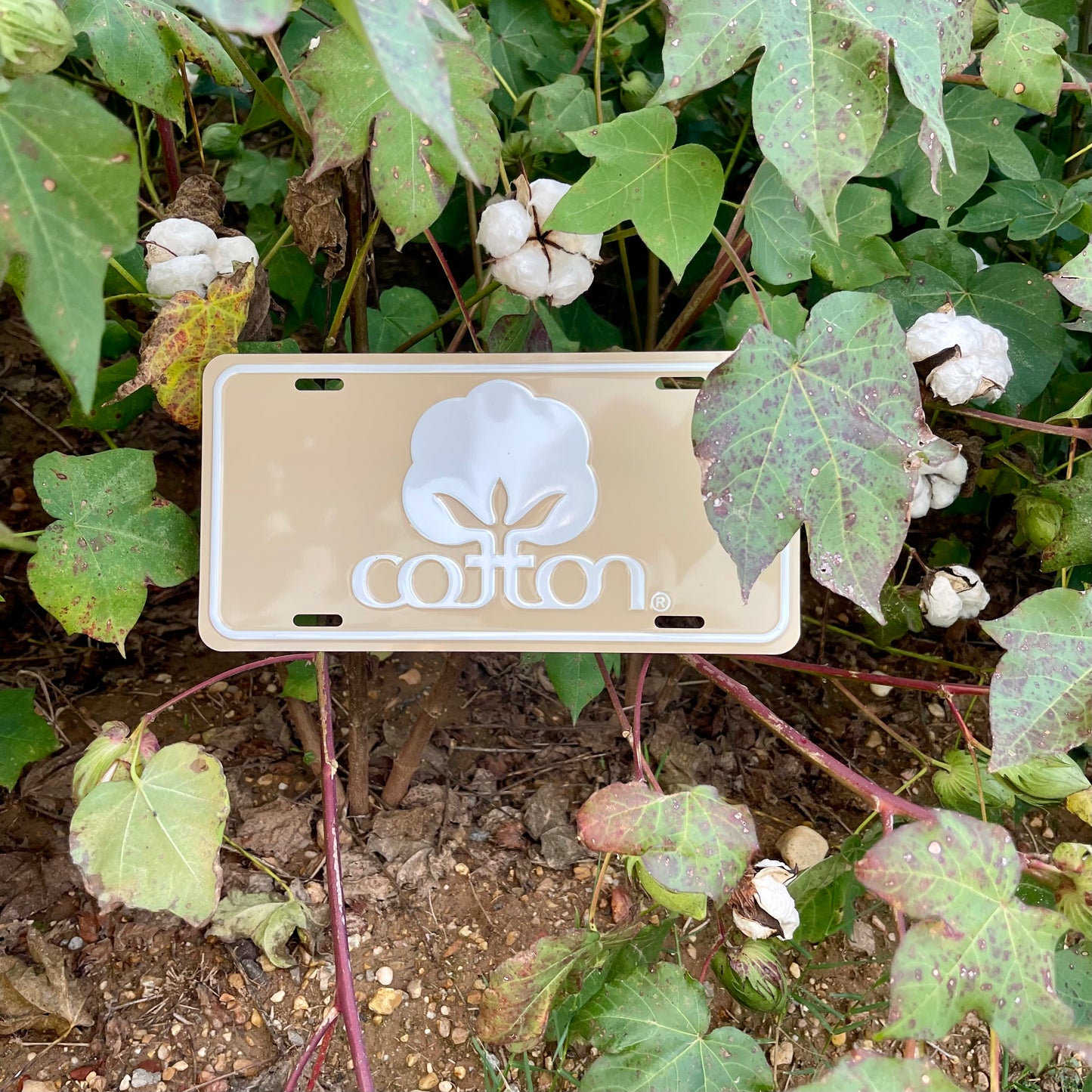 Seal of Cotton License Plate - Tan