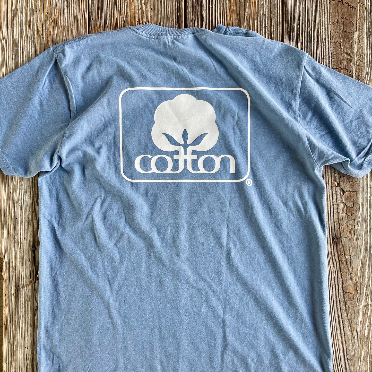 Seal of Cotton T-Shirt - Blue Jean
