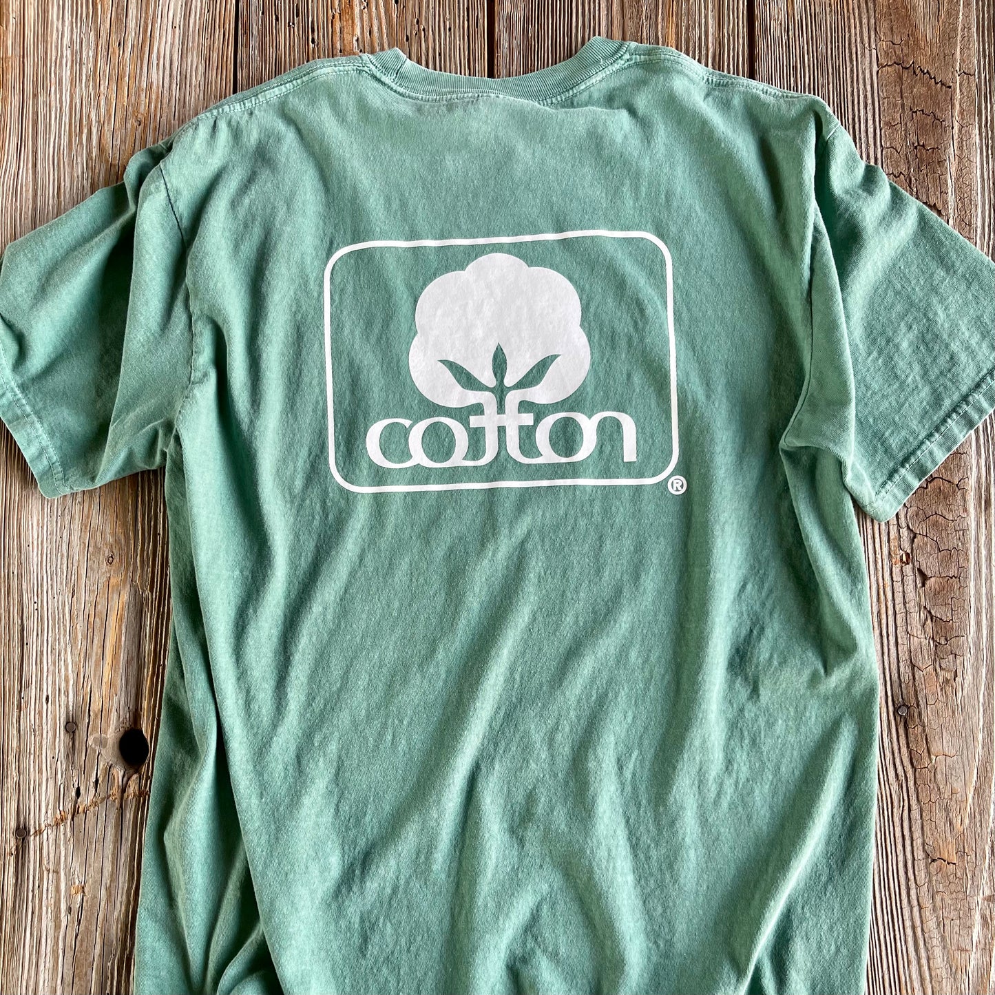 Seal of Cotton T-Shirt - Light Green