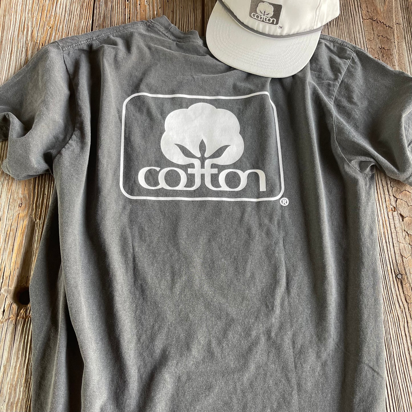 Seal of Cotton T-Shirt - Pepper