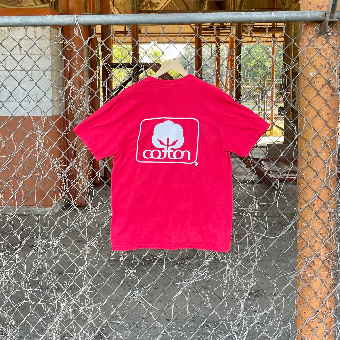 Seal of Cotton T-Shirt - Red