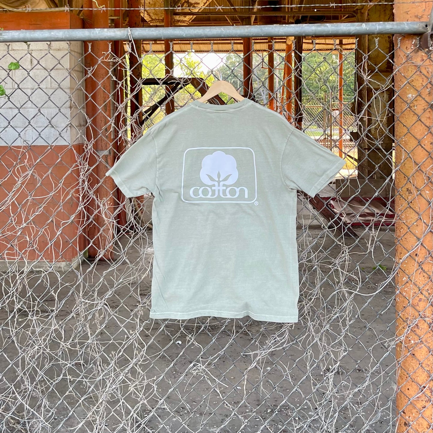 Seal of Cotton T-Shirt - Sandstone