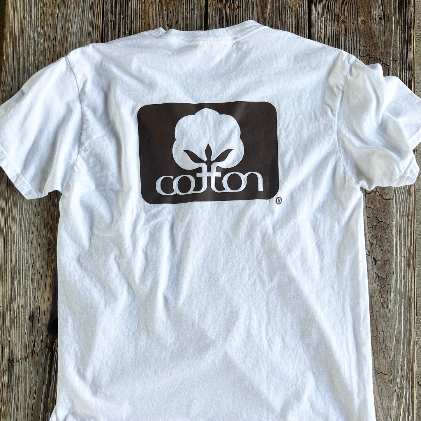 Seal of Cotton T-Shirt - White