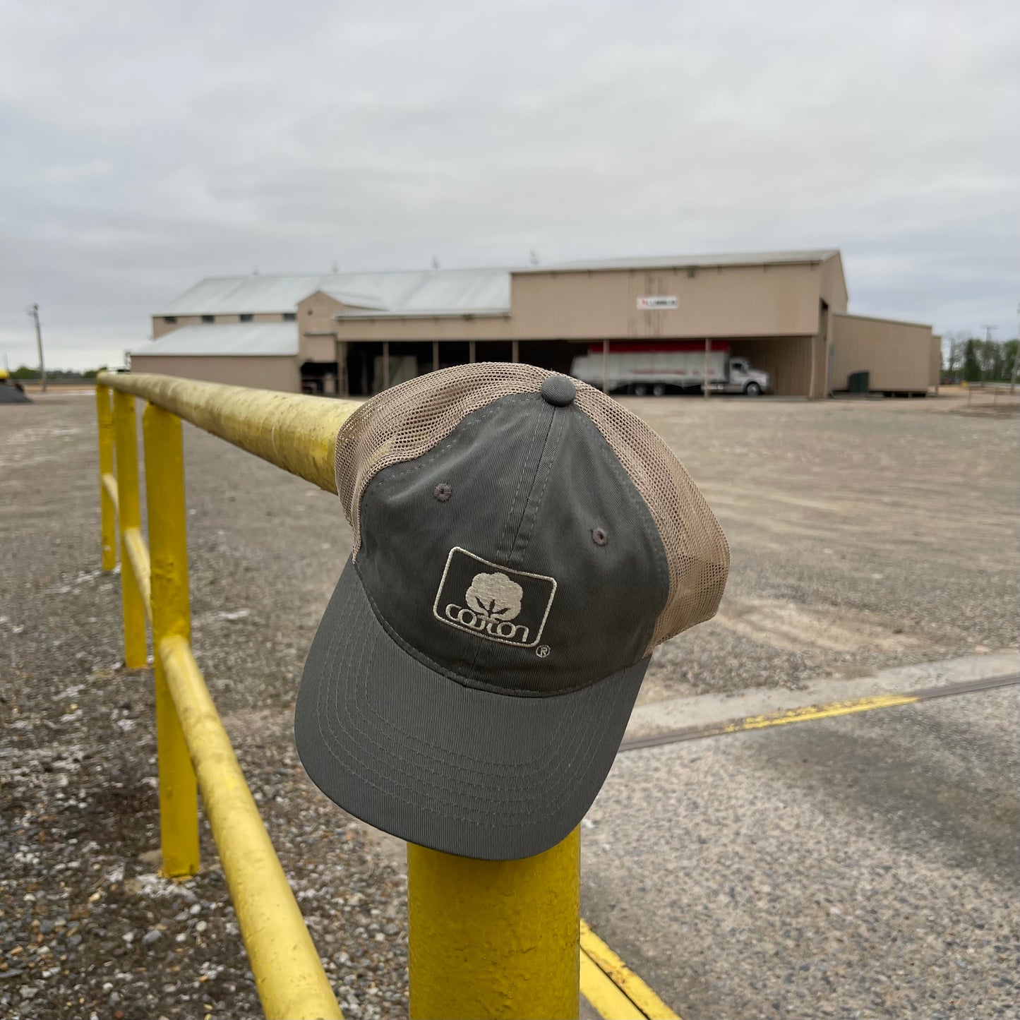 Olive and tan mesh back hat with adjustable fit and embroidered Seal of Cotton logo