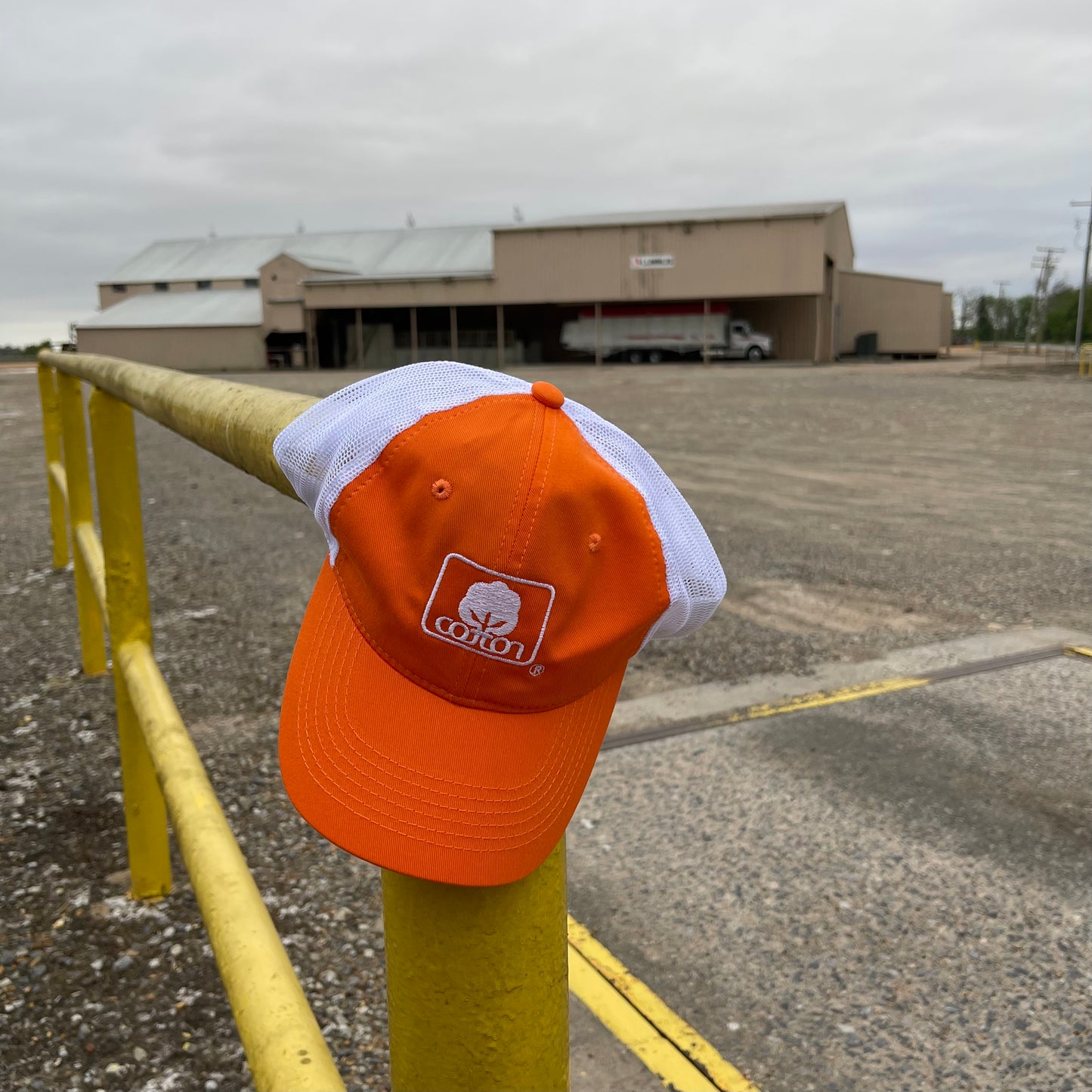 Orange and white mesh back hat with adjustable fit and embroidered Seal of Cotton logo