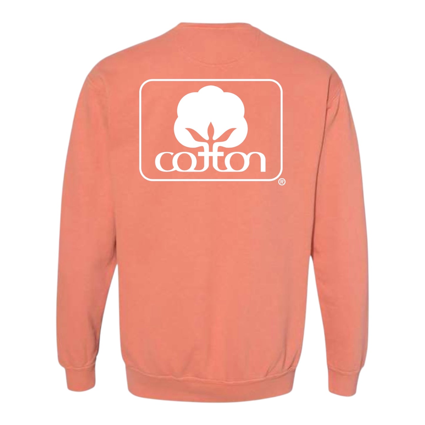 Seal of Cotton Terracotta Sweatshirt