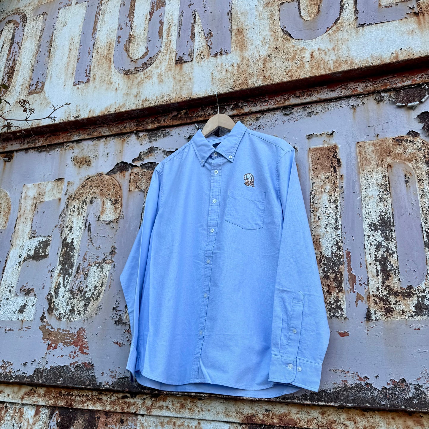 Cotton Boll Oxford Button Down