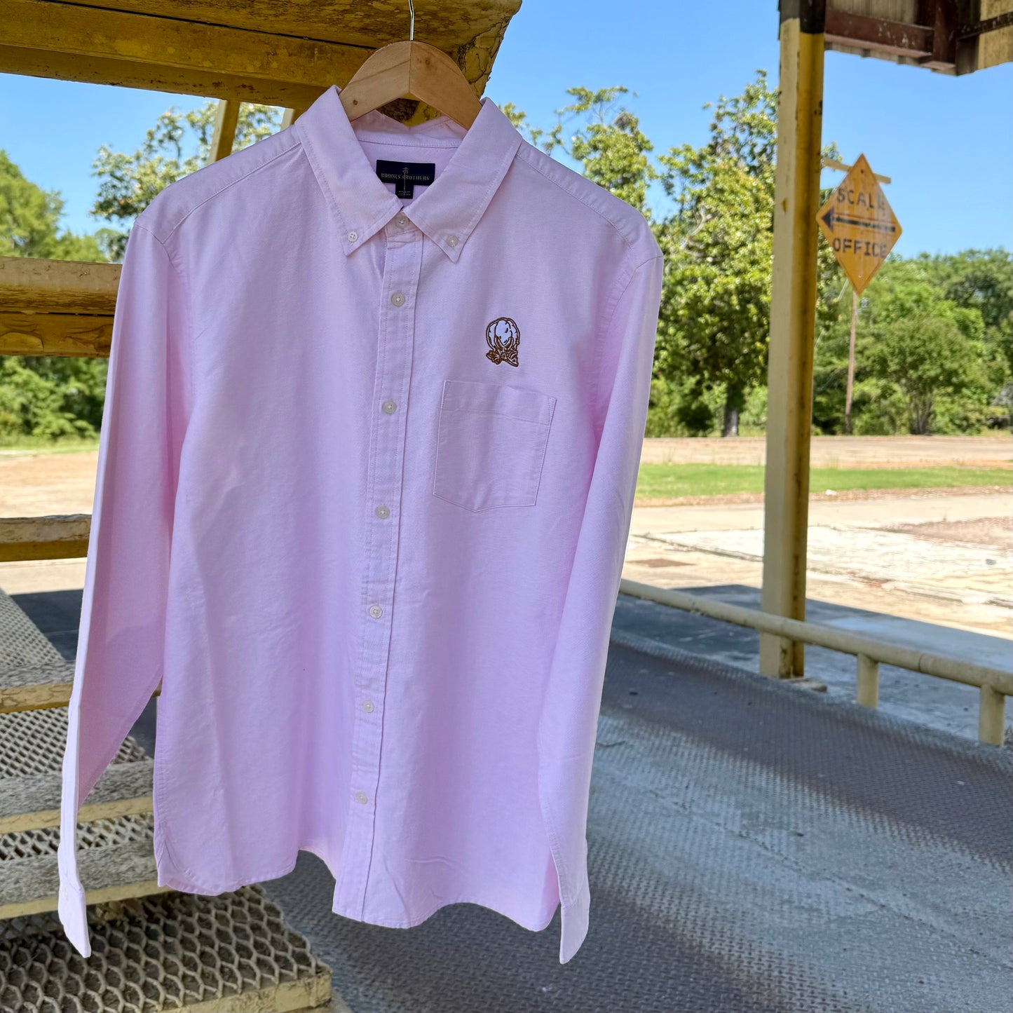 Cotton Boll Oxford Button Down