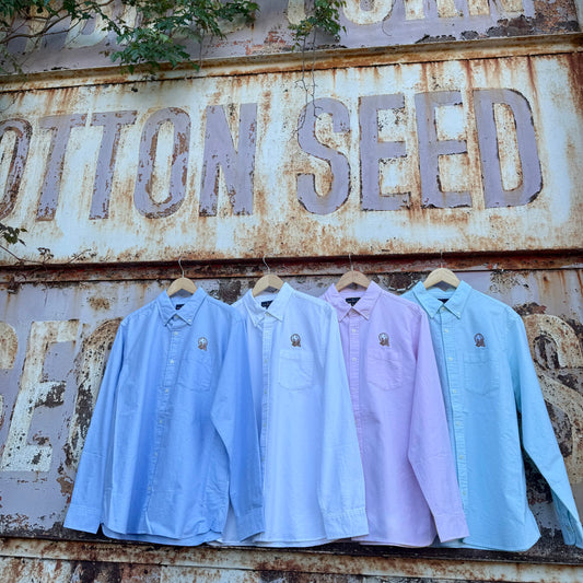 Cotton Boll Oxford Button Down