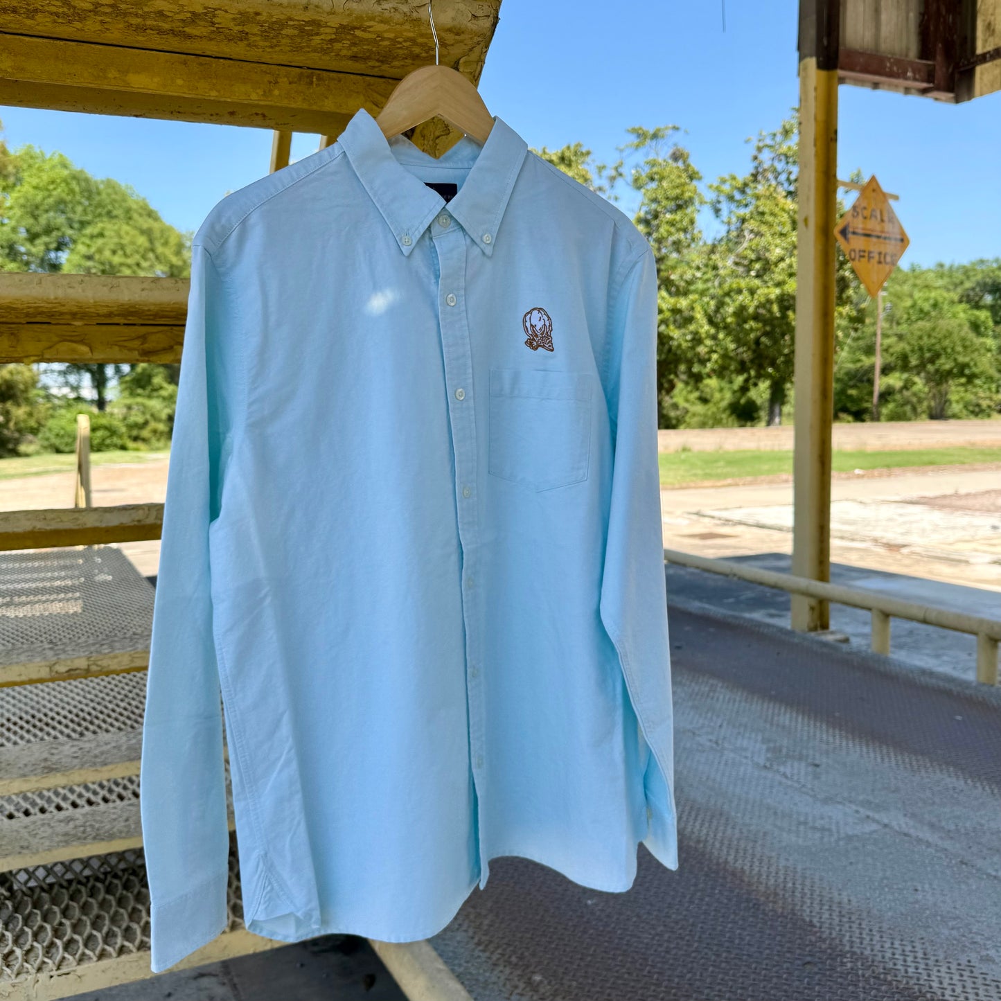 Cotton Boll Oxford Button Down