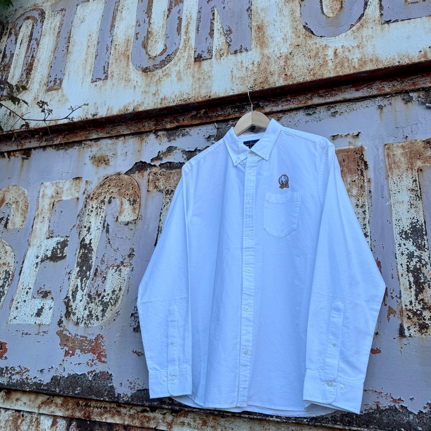 Cotton Boll Oxford Button Down