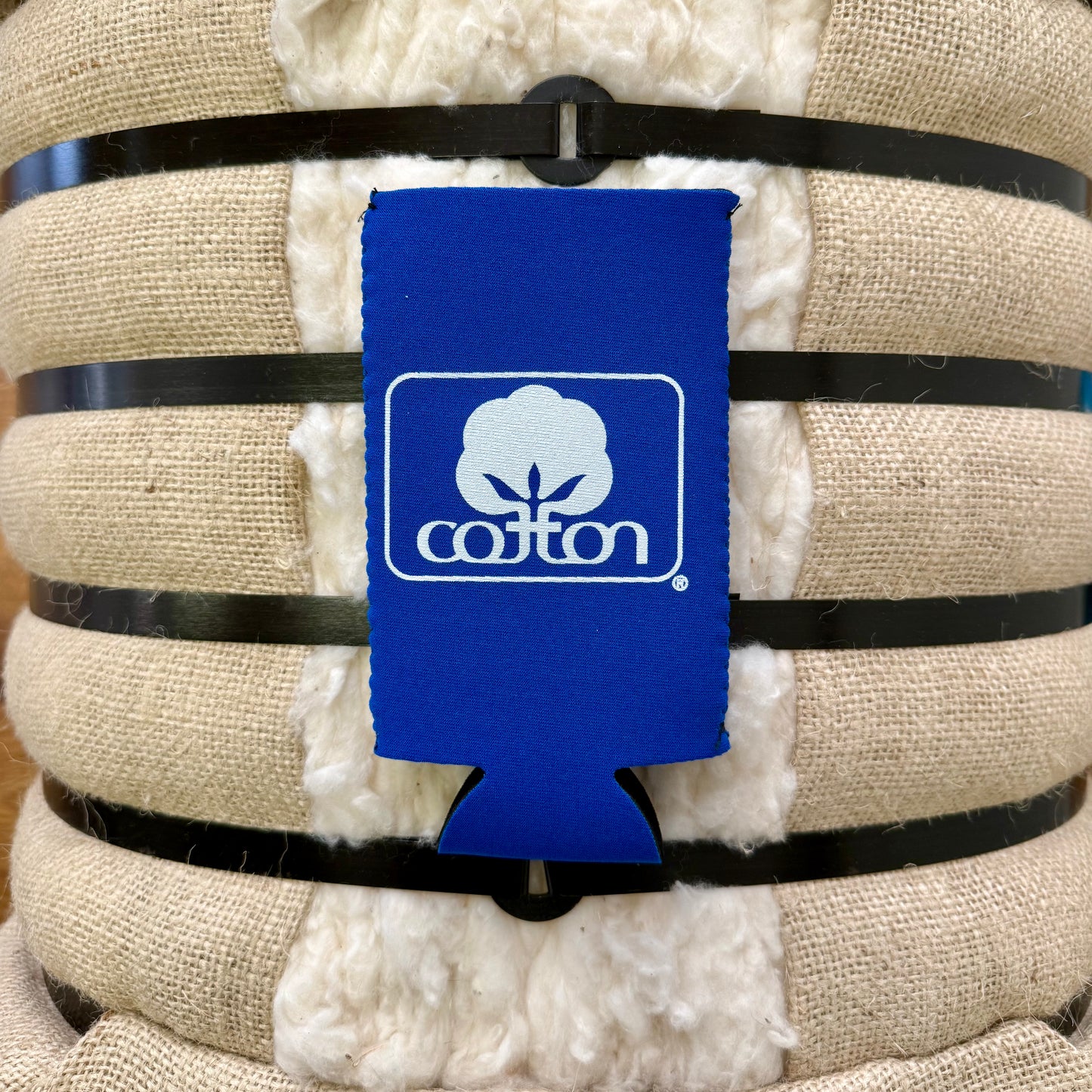 Seal of Cotton Slim Can Koozie