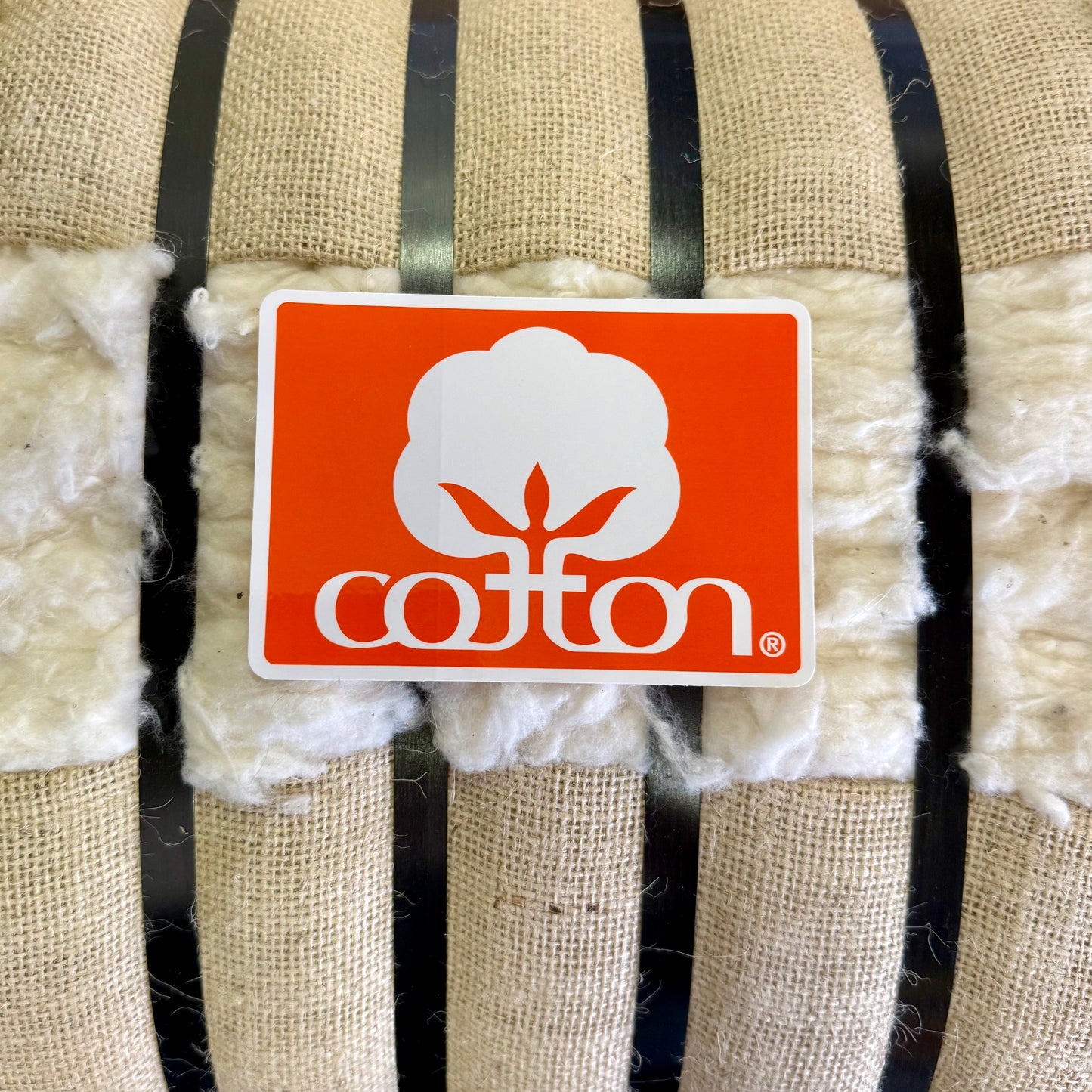 Seal of Cotton Bumper Sticker
