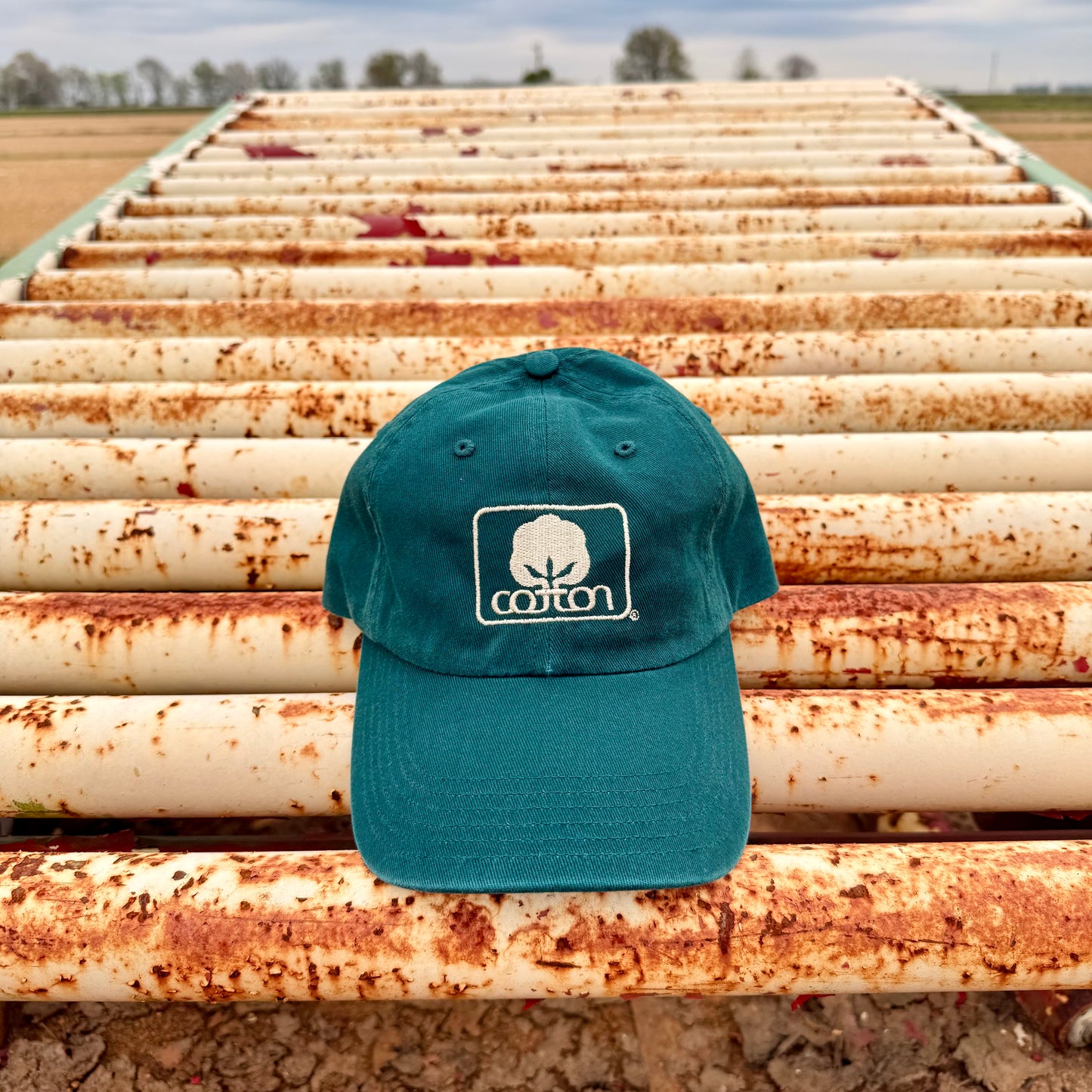 Seal of Cotton Twill Hat