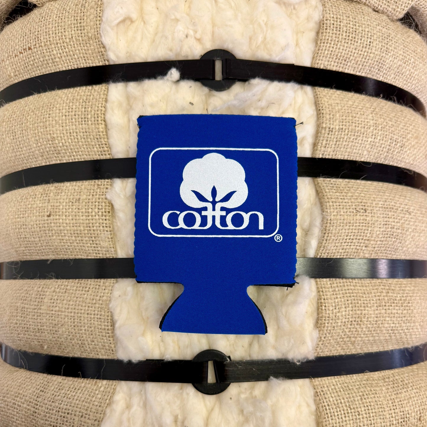 Seal of Cotton Regular Can Koozie
