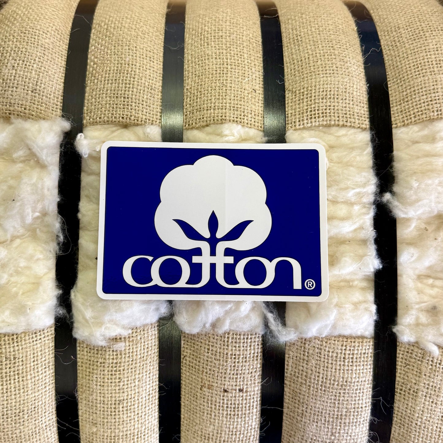 Seal of Cotton Bumper Sticker