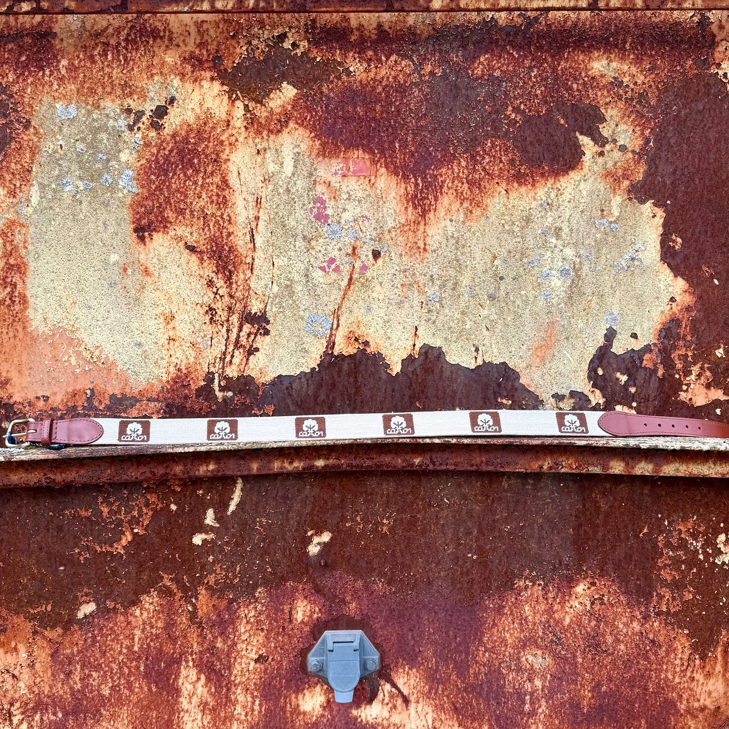 Smathers & Branson Seal of Cotton Needlepoint Belt