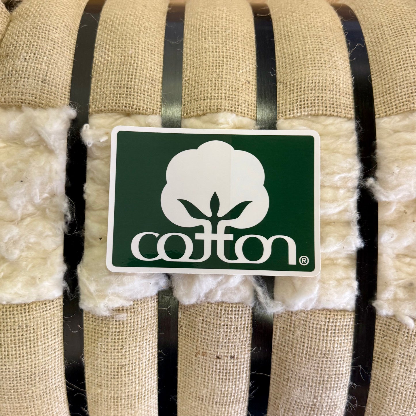 Seal of Cotton Bumper Sticker