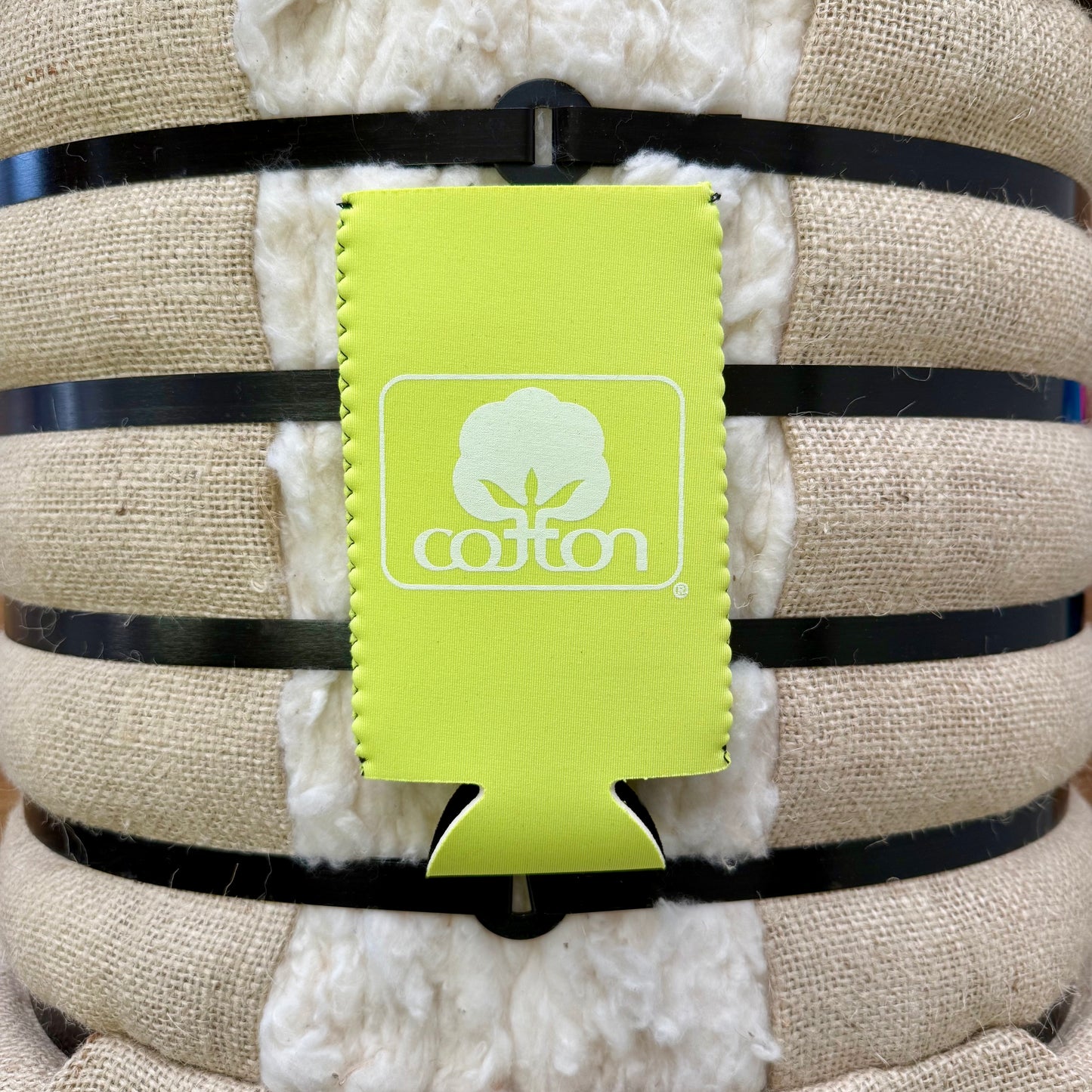 Seal of Cotton Slim Can Koozie