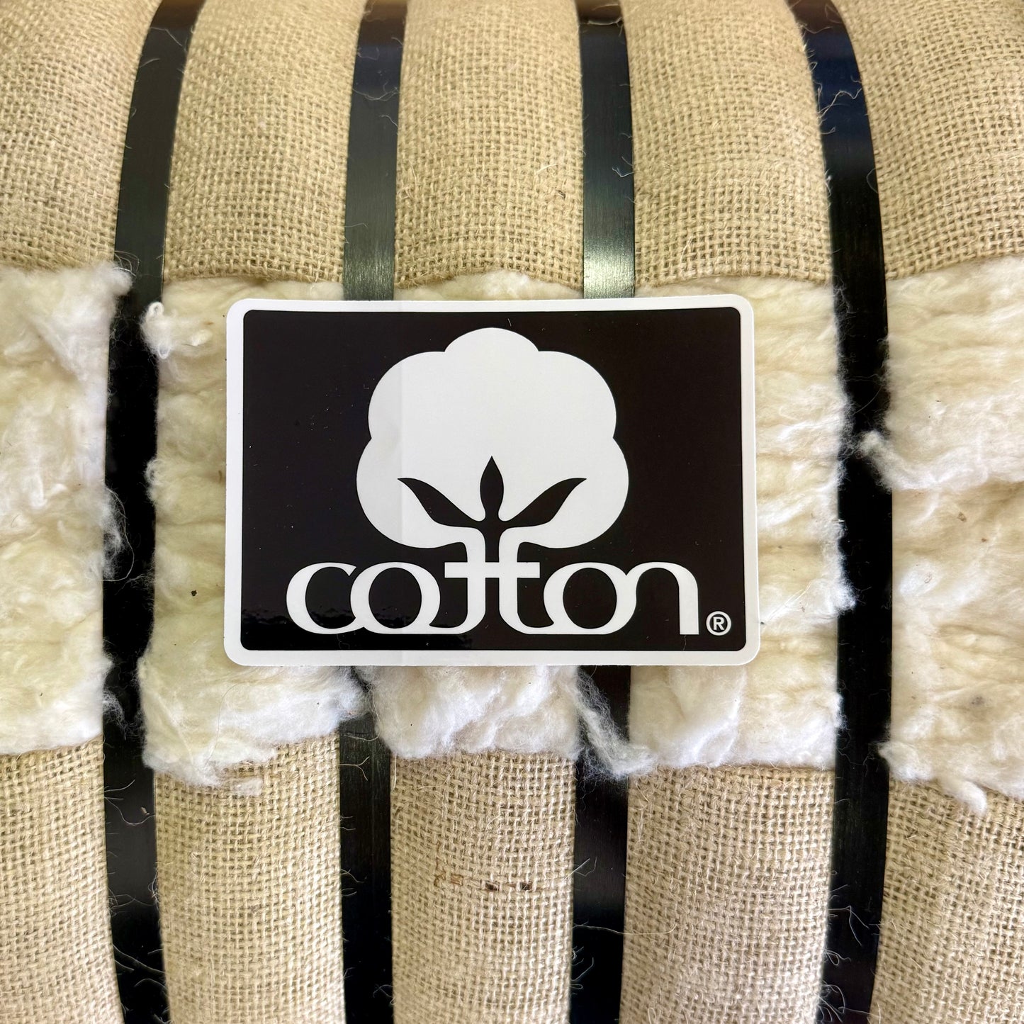 Seal of Cotton Bumper Sticker