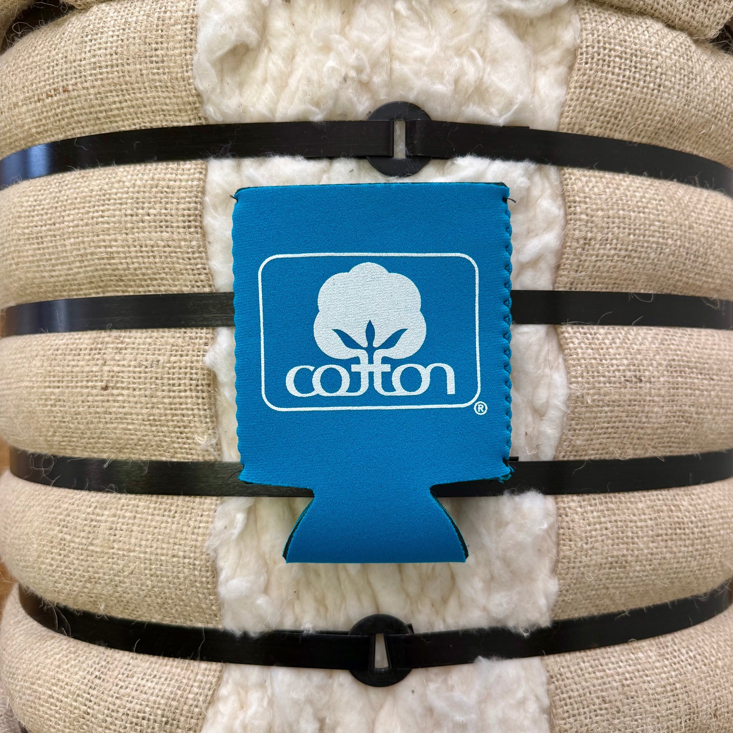 Seal of Cotton Regular Can Koozie