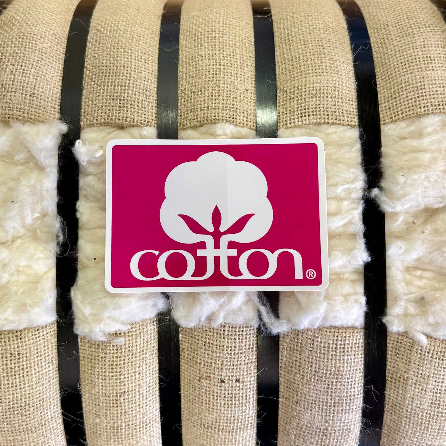 Seal of Cotton Bumper Sticker