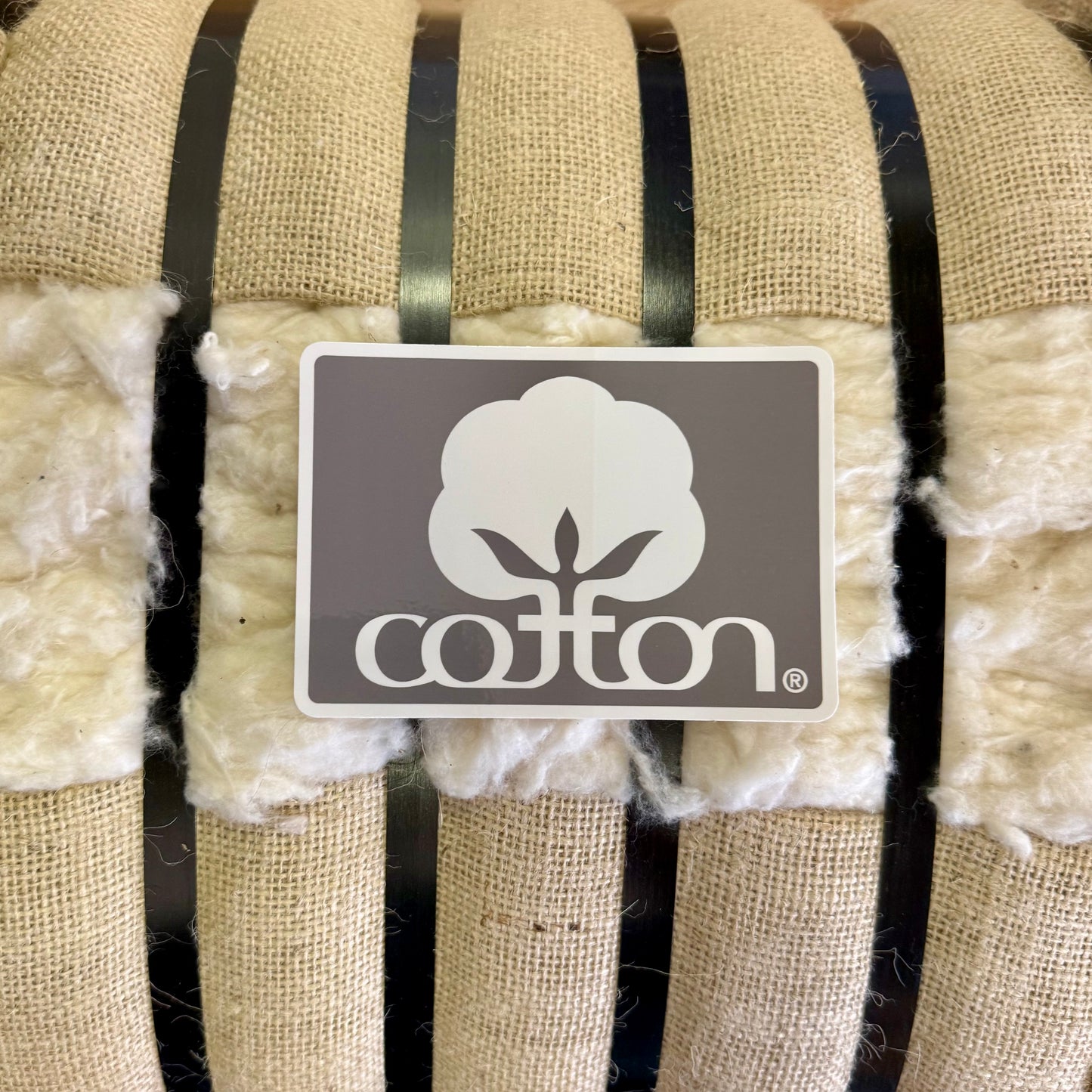 Seal of Cotton Bumper Sticker