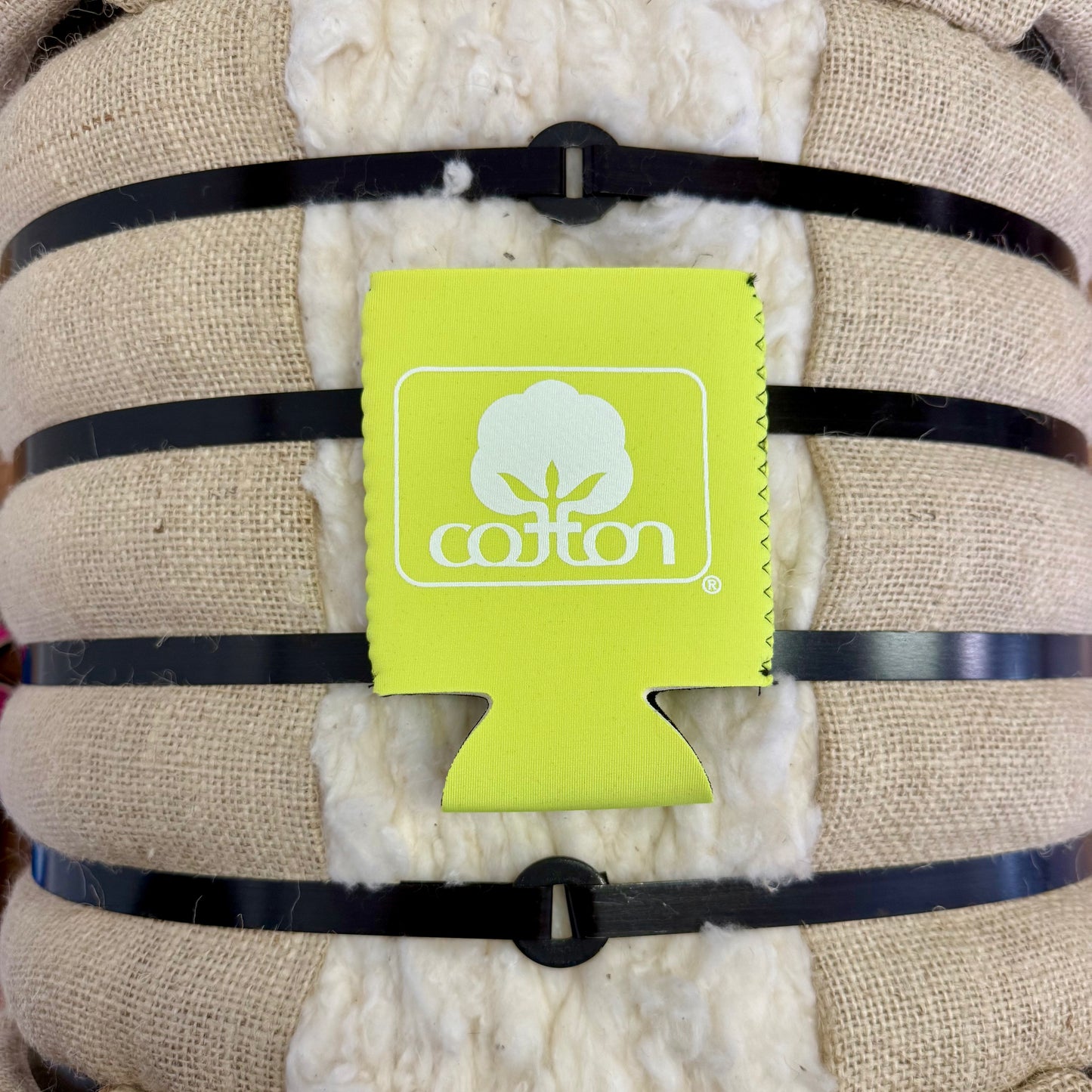 Seal of Cotton Regular Can Koozie