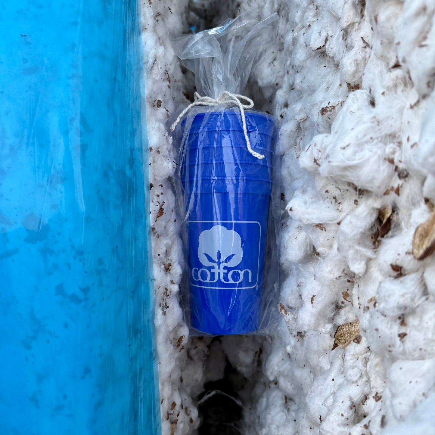 Seal of Cotton Stadium Cup Stack