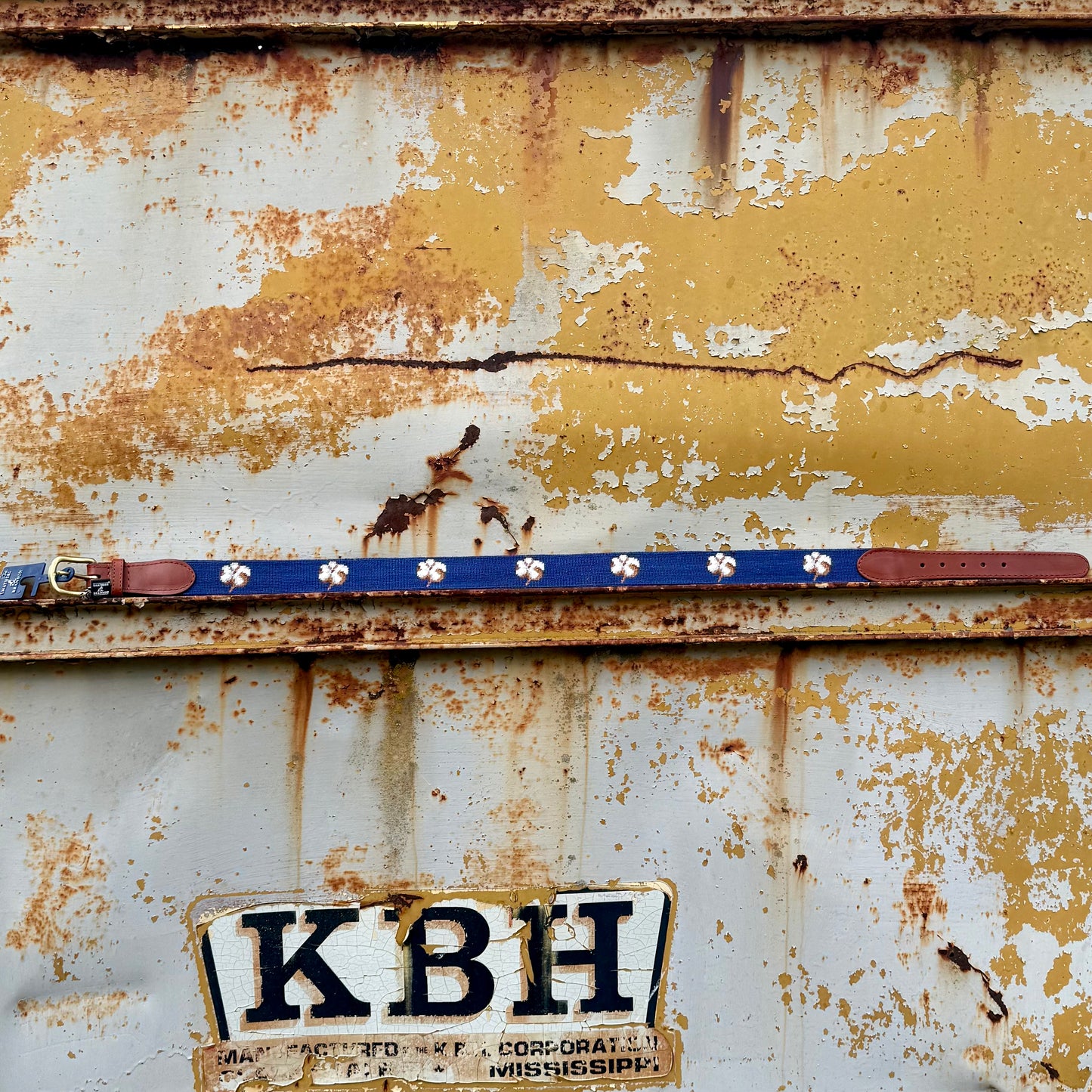 Smathers & Branson Cotton Boll Needlepoint Belt