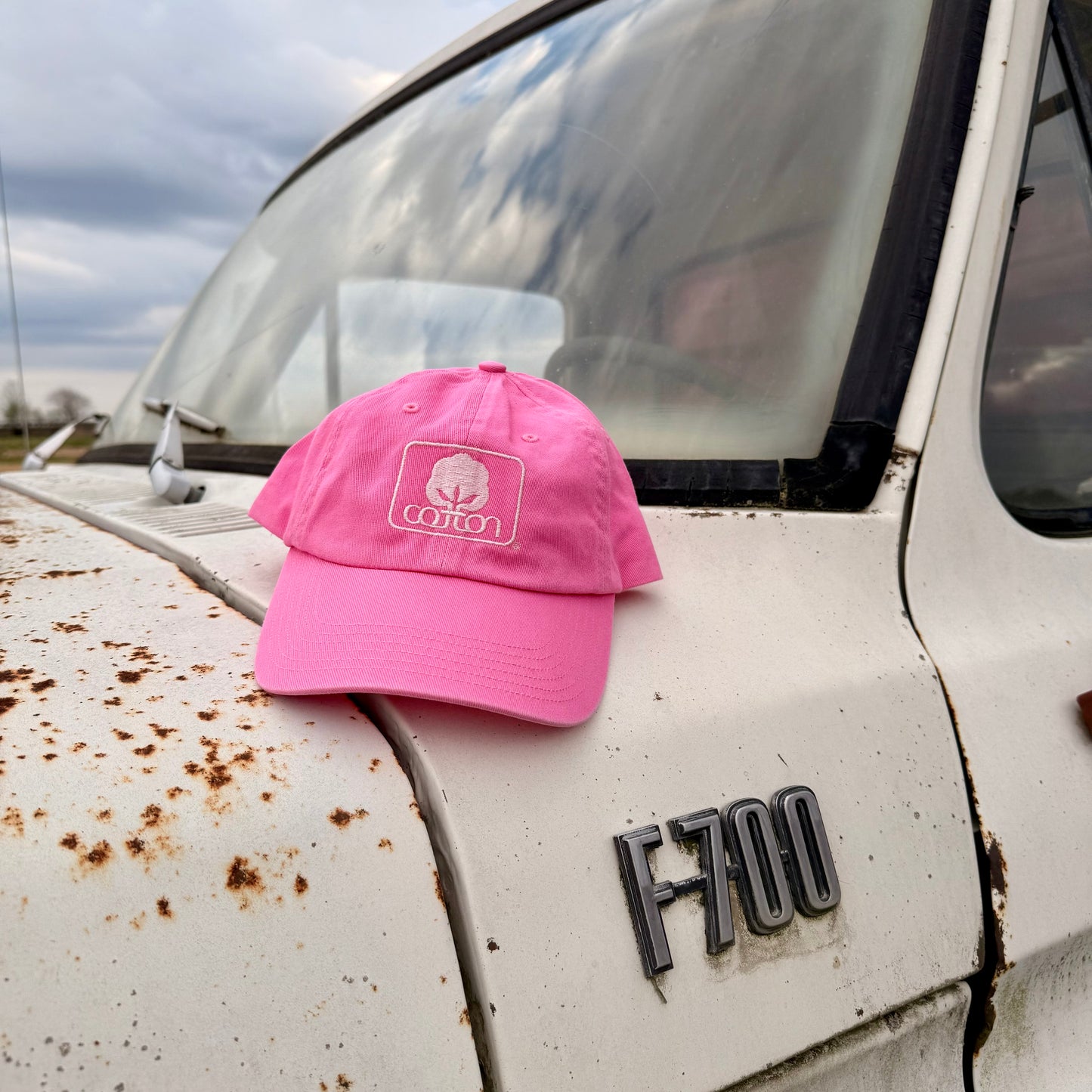 Seal of Cotton Twill Hat