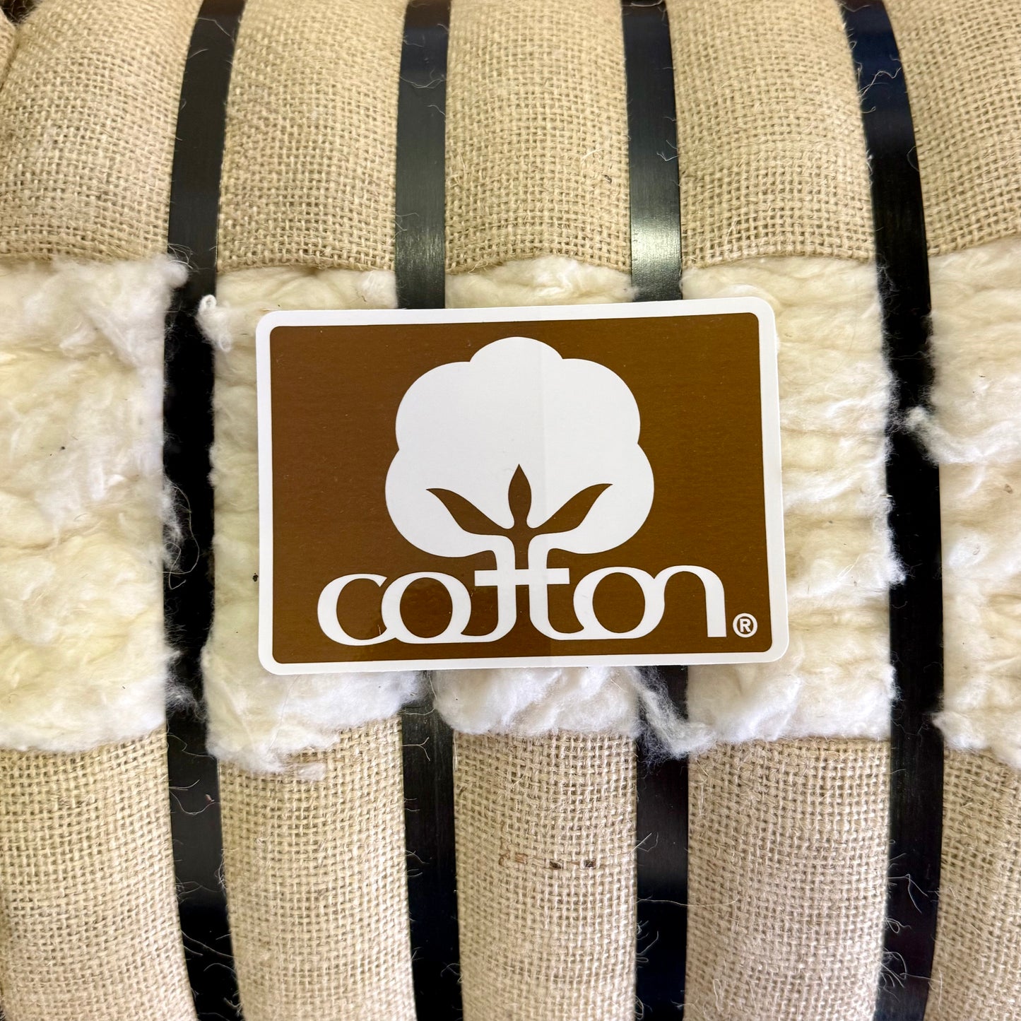 Seal of Cotton Bumper Sticker