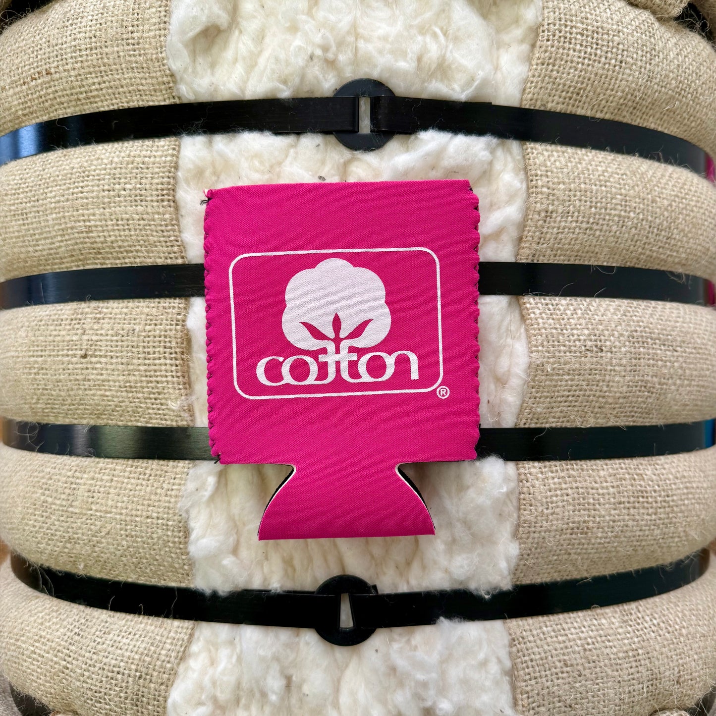 Seal of Cotton Regular Can Koozie