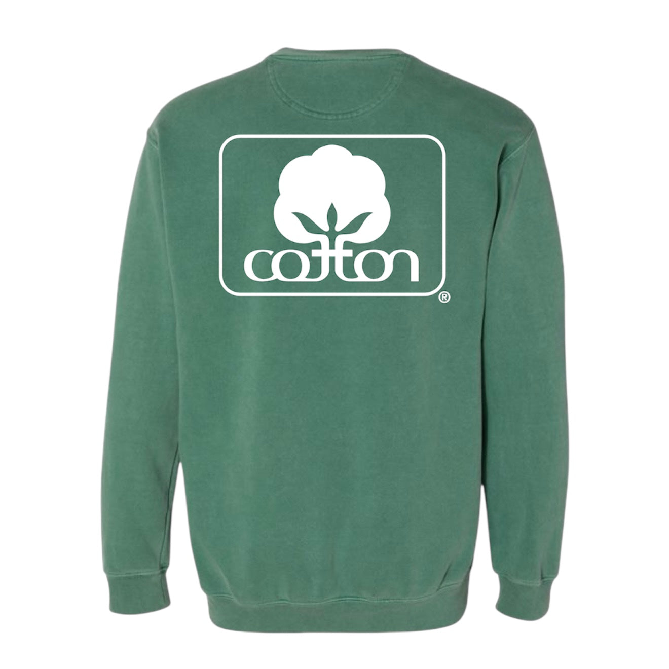 Seal of Cotton Light Green Sweatshirt