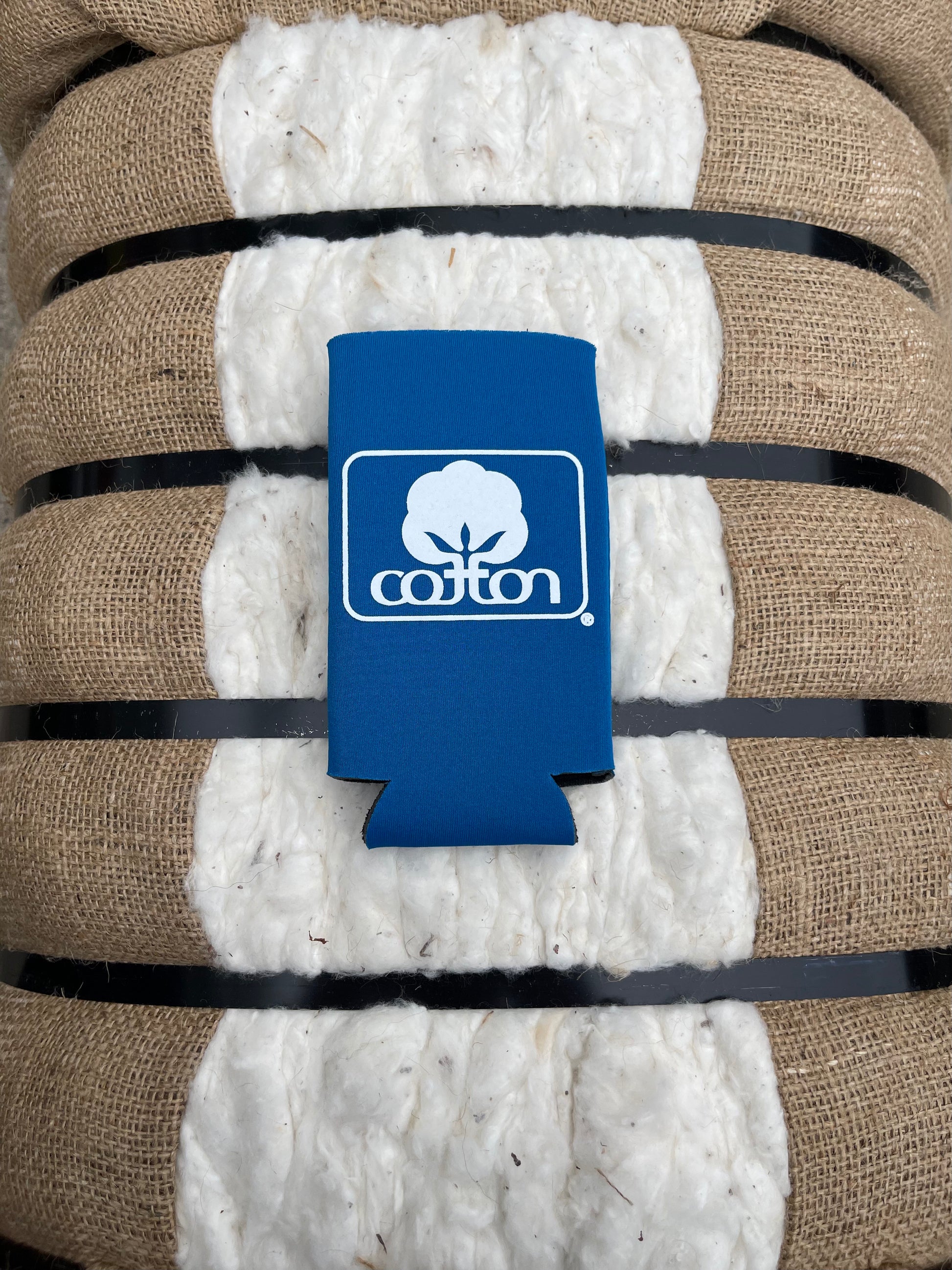 Seal of Cotton Koozie - Blue