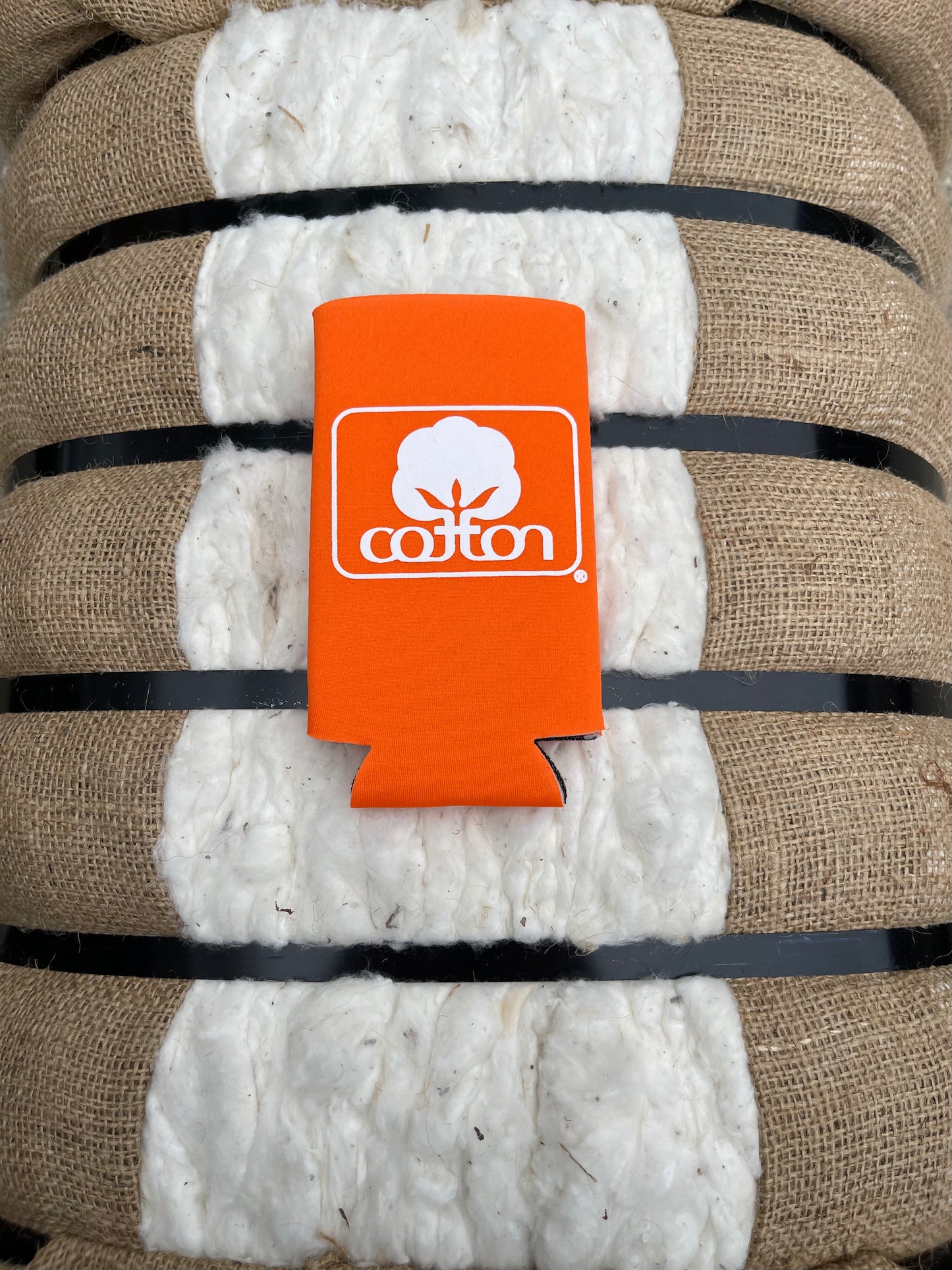 Seal of Cotton Koozie - Orange