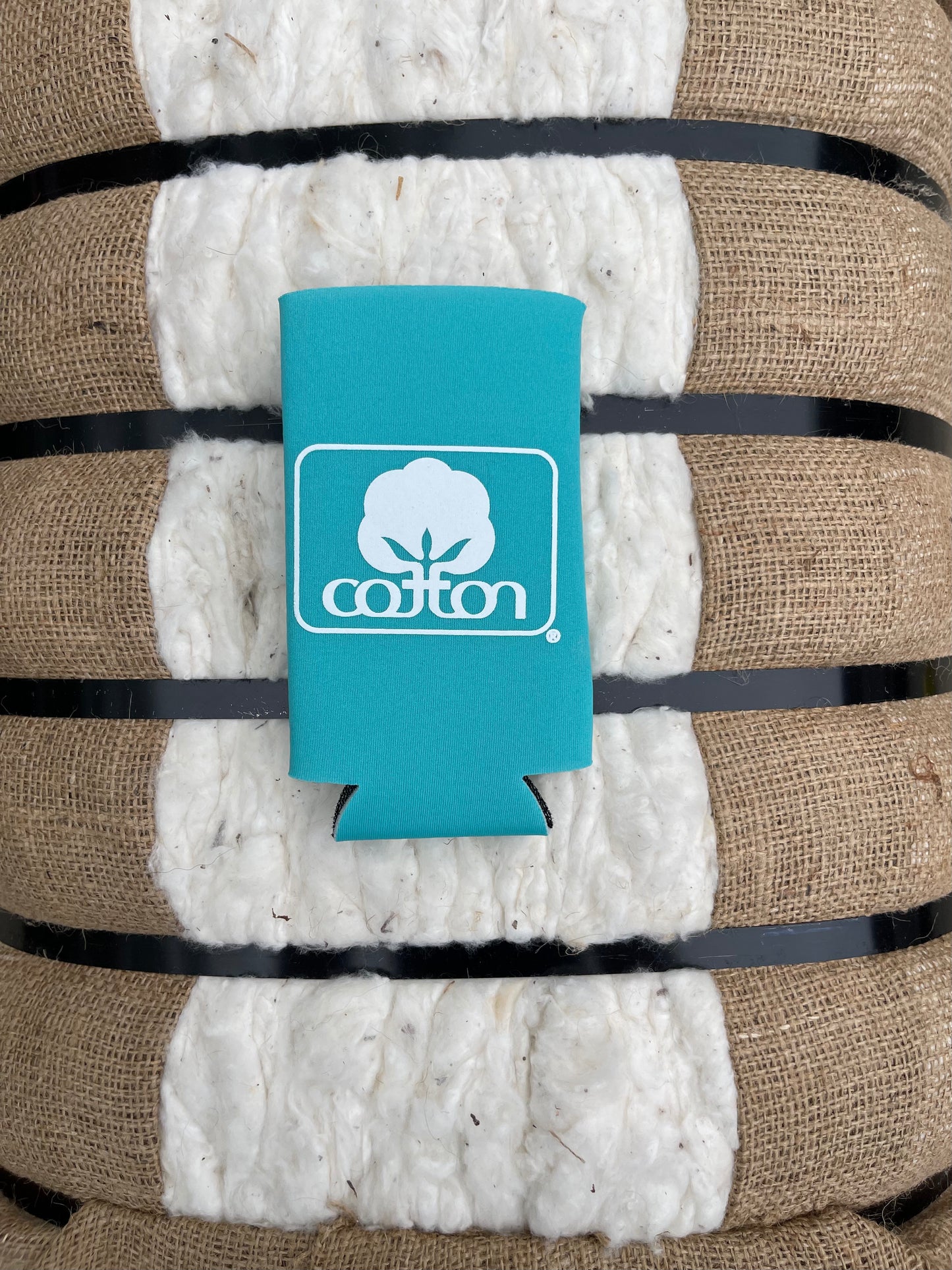 Seal of Cotton Koozie - Teal