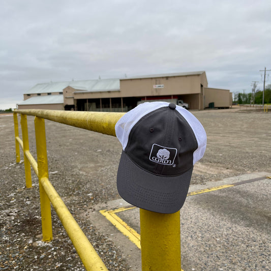 Seal of Cotton Mesh Back Hat - Grey