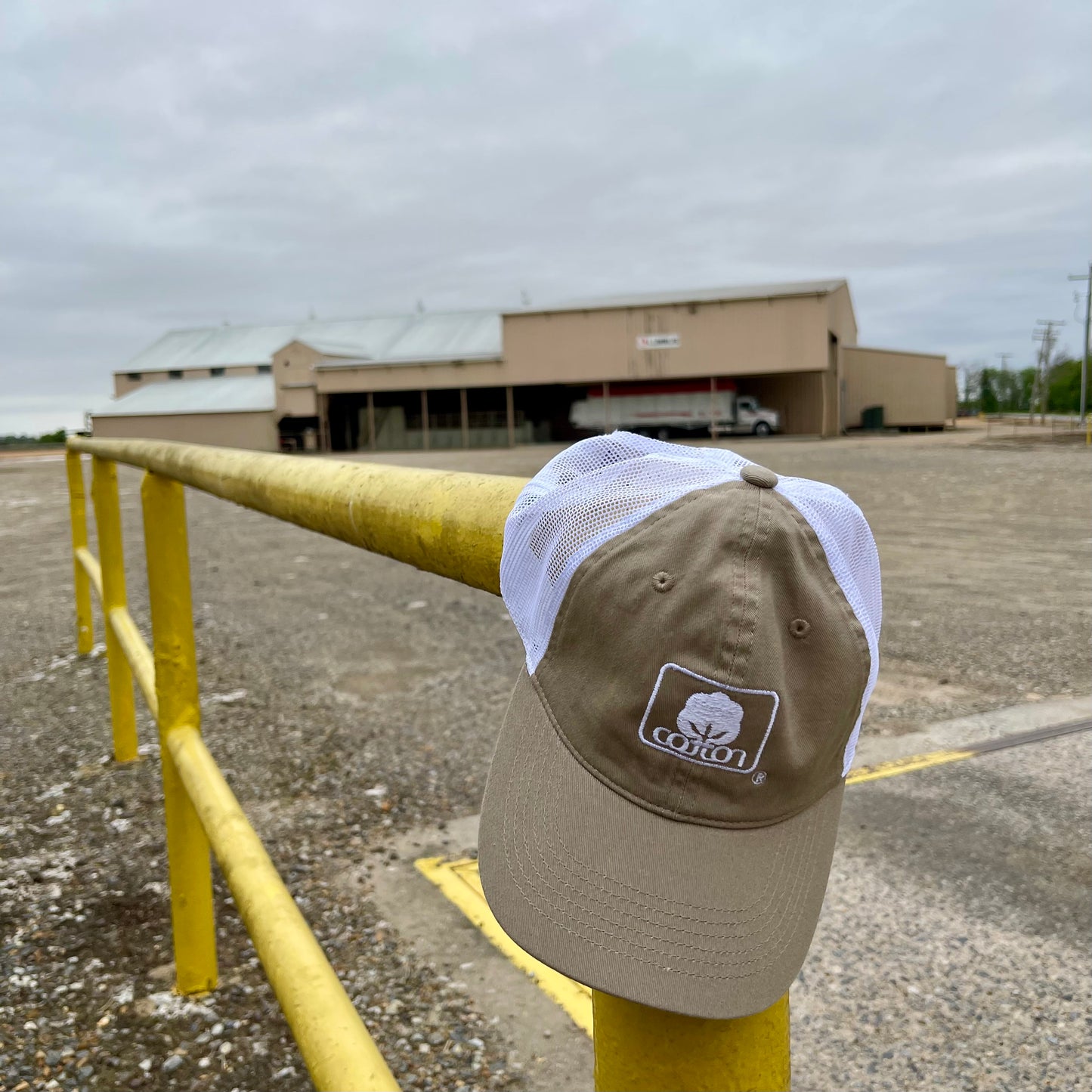 Tan and white mesh back hat with adjustable fit and embroidered Seal of Cotton logo